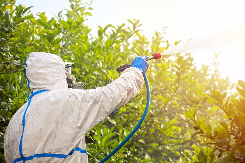 Fumigation Service in Clarksville, TN