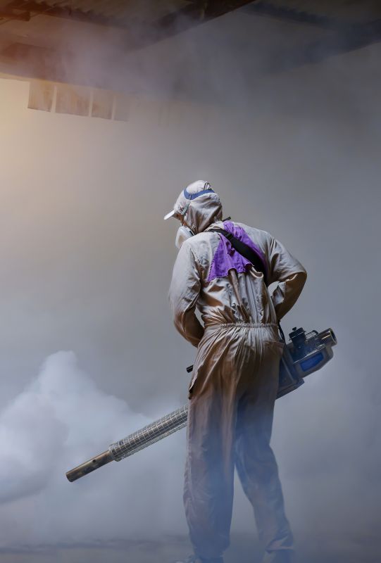 Rat Fumigation Service in Phoenix, AZ