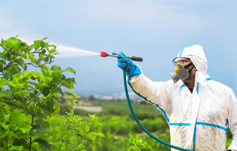 Rat Fumigation Service in Gwinnett County, GA