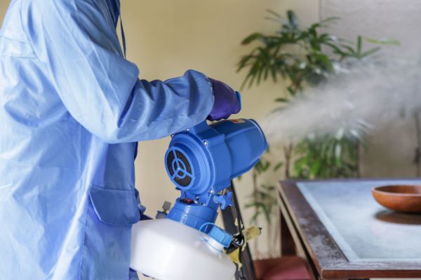 Bed Bug Fumigation
