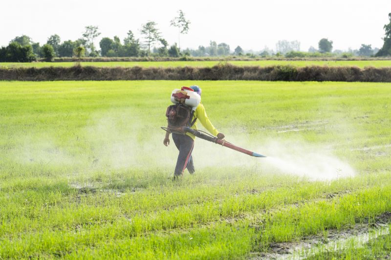Post-Treatment Clearance