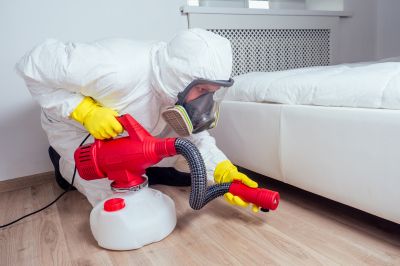 Fumigation Vs. Traditional Pest Control: Key Differences
