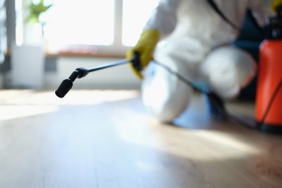 Pest Fumigation Service in Davis County, UT