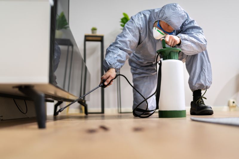 Rat Fumigation Service in Fredericksburg, VA