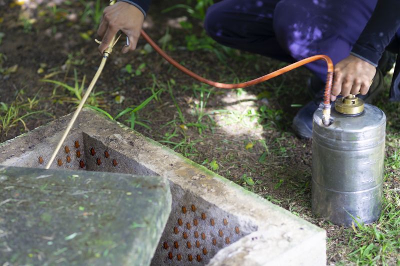 Spider Fumigation Service in Long Island, NY