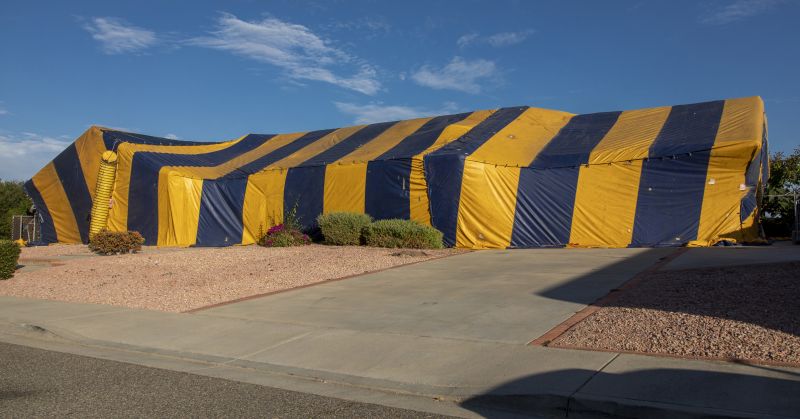 Tent Fumigation Service