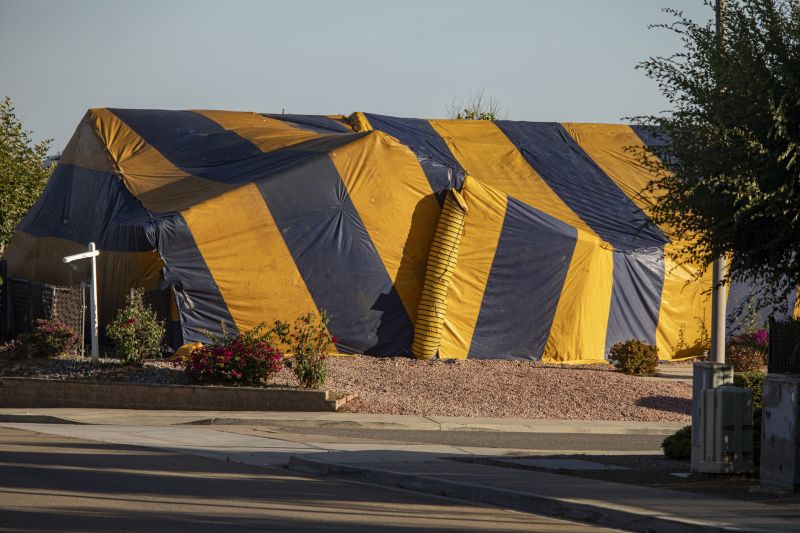 Residential Tent Fumigation