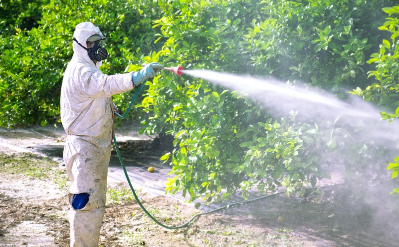 Types Of Pests That Require Fumigation Treatment